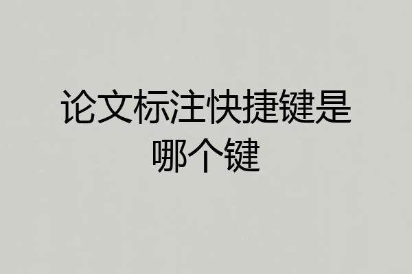 论文标注快捷键是哪个键