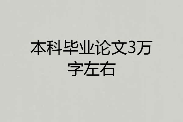 本科毕业论文3万字左右