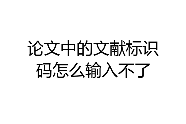 论文中的文献标识码怎么输入不了