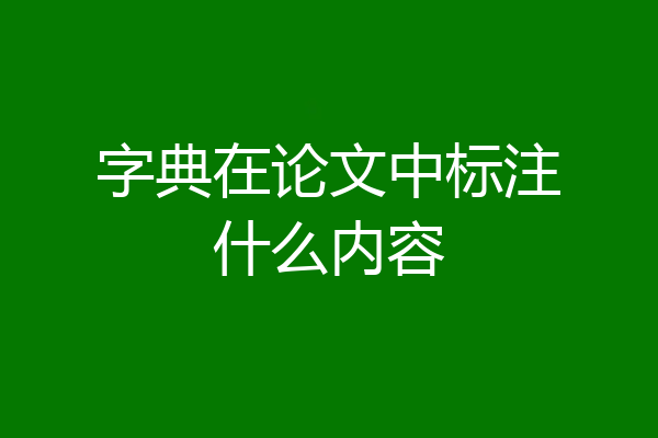 字典在论文中标注什么内容