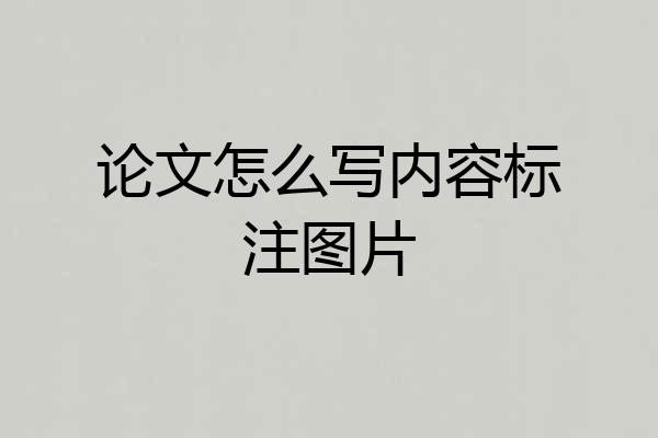 论文怎么写内容标注图片