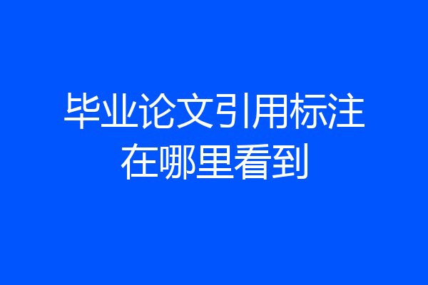 毕业论文引用标注在哪里看到
