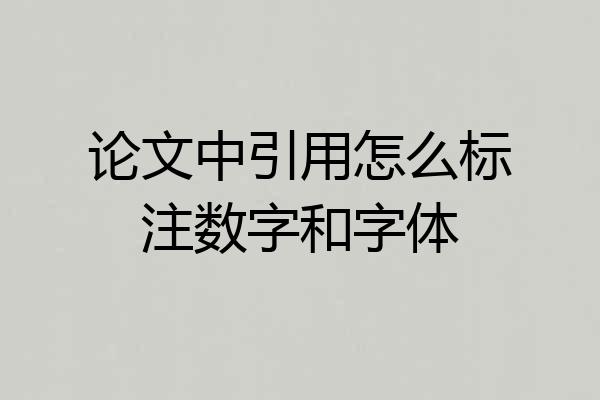 论文中引用怎么标注数字和字体