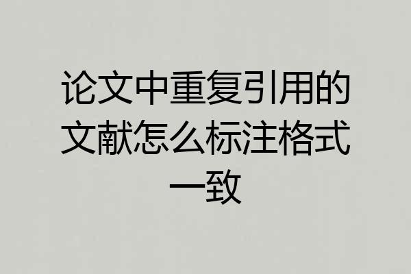论文中重复引用的文献怎么标注格式一致