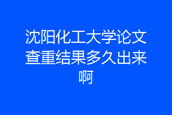 沈阳化工大学论文查重结果多久出来啊