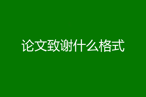 论文致谢什么格式
