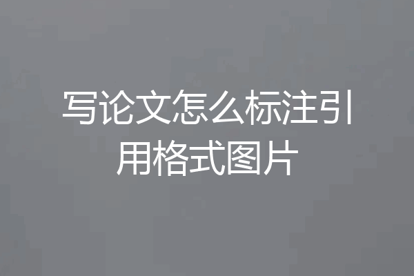 写论文怎么标注引用格式图片