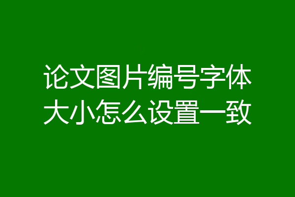 论文图片编号字体大小怎么设置一致