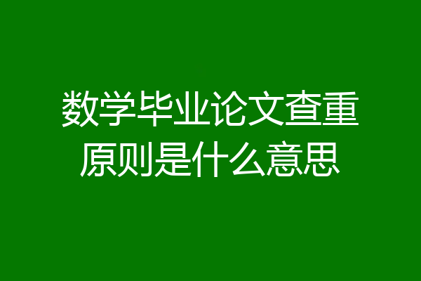 数学毕业论文查重原则是什么意思
