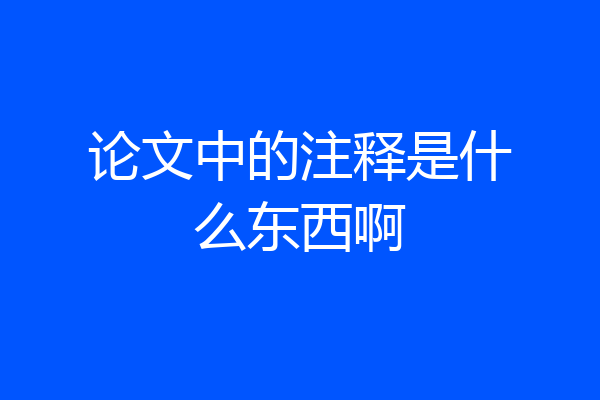论文中的注释是什么东西啊