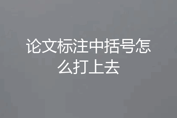 论文标注中括号怎么打上去