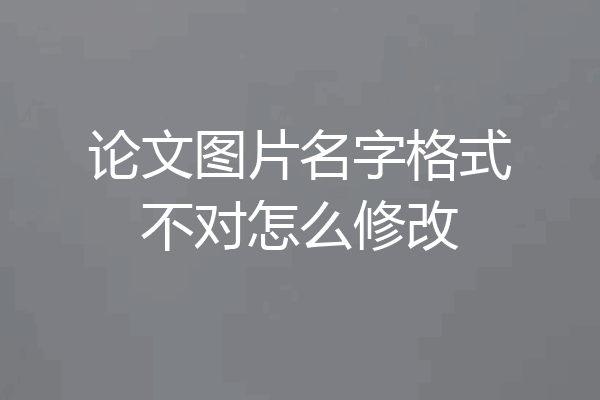 论文图片名字格式不对怎么修改