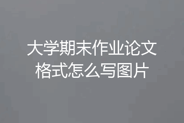 大学期末作业论文格式怎么写图片