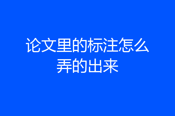 论文里的标注怎么弄的出来