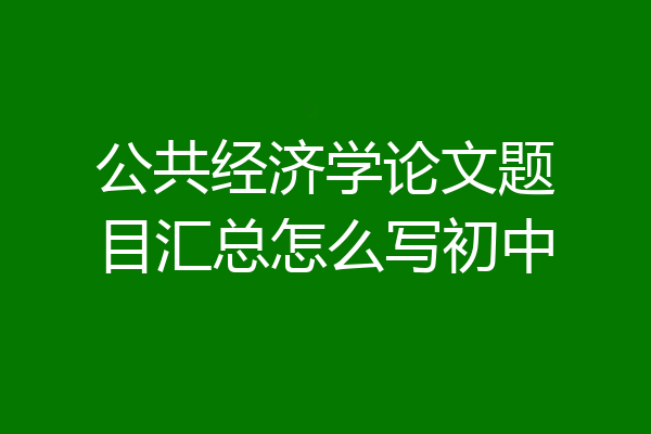 公共经济学论文题目汇总怎么写初中