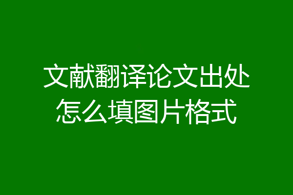 文献翻译论文出处怎么填图片格式