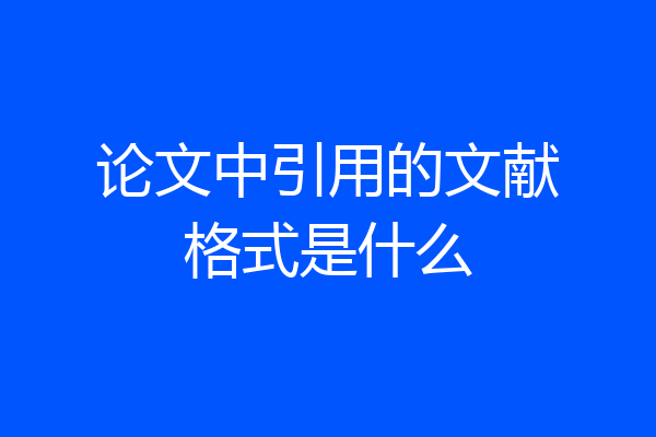 论文中引用的文献格式是什么