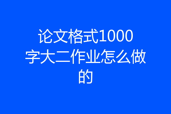 论文格式1000字大二作业怎么做的