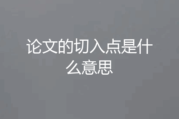 论文的切入点是什么意思