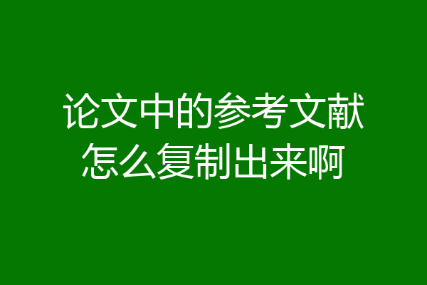 论文中的参考文献怎么复制出来啊