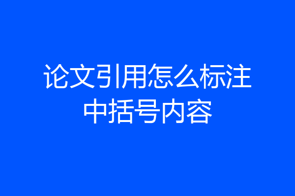 论文引用怎么标注中括号内容