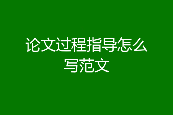论文过程指导怎么写范文