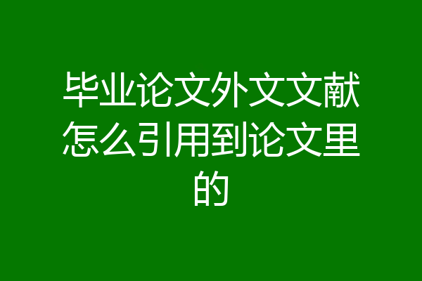 毕业论文外文文献怎么引用到论文里的
