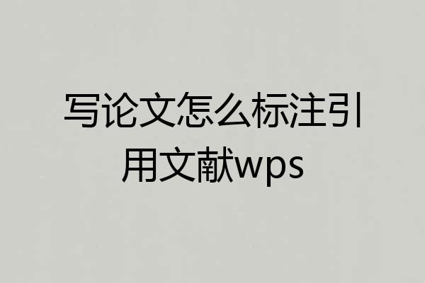 写论文怎么标注引用文献wps