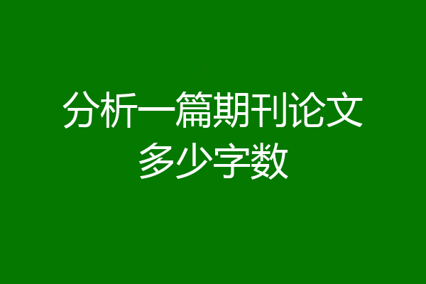 分析一篇期刊论文多少字数