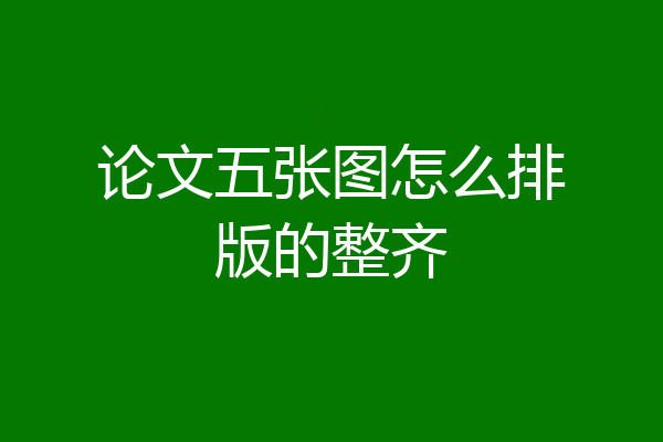 论文五张图怎么排版的整齐