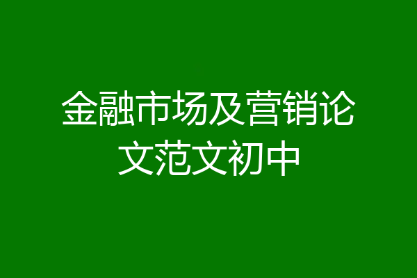 金融市场及营销论文范文初中