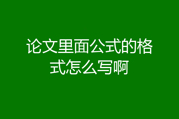 论文里面公式的格式怎么写啊
