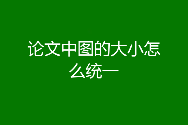 论文中图的大小怎么统一