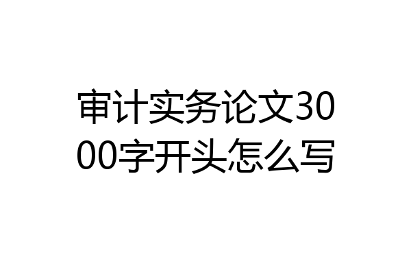 审计实务论文3000字开头怎么写