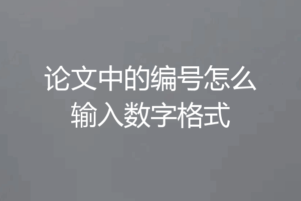 论文中的编号怎么输入数字格式