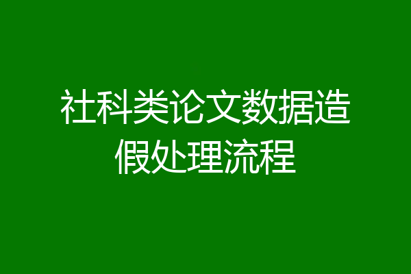 社科类论文数据造假处理流程