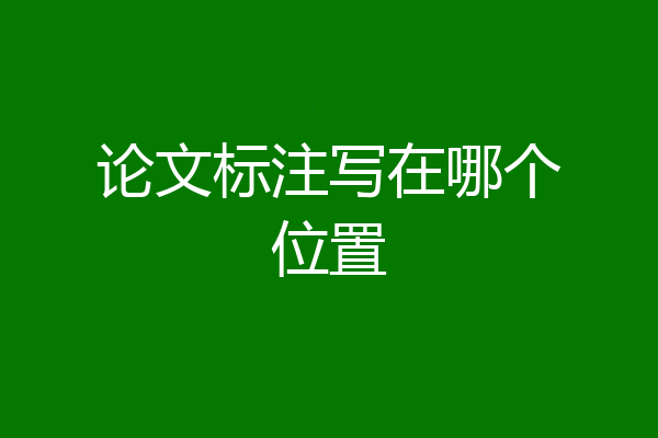 论文标注写在哪个位置