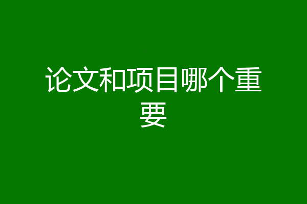论文和项目哪个重要