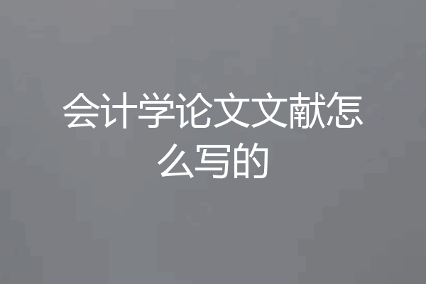 会计学论文文献怎么写的