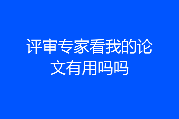 评审专家看我的论文有用吗吗