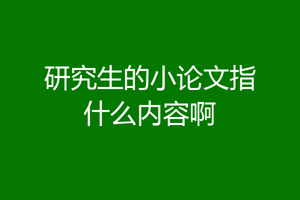 研究生的小论文指什么内容啊