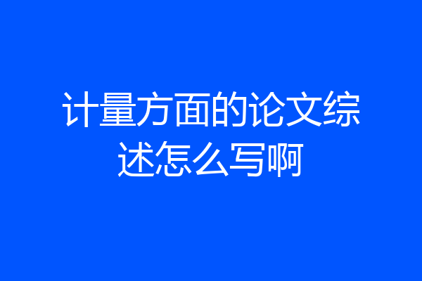 计量方面的论文综述怎么写啊