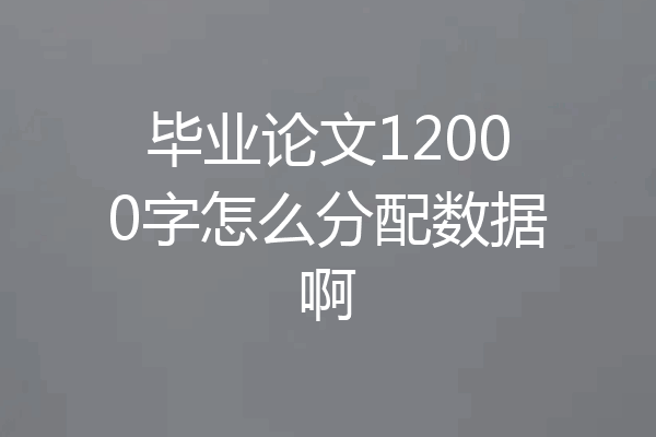 毕业论文12000字怎么分配数据啊