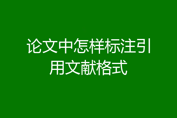论文中怎样标注引用文献格式