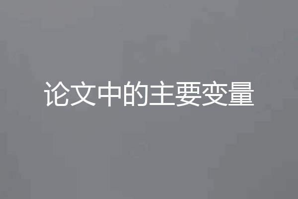 论文中的主要变量