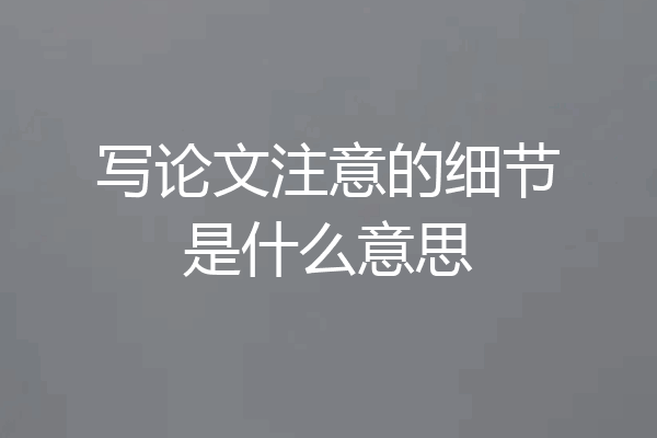 写论文注意的细节是什么意思