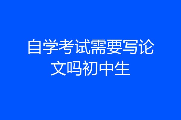 自学考试需要写论文吗初中生