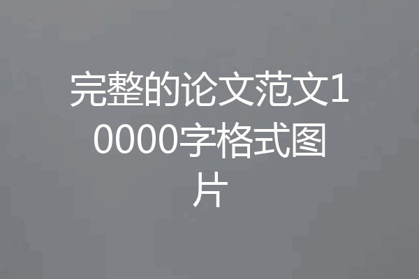 完整的论文范文10000字格式图片
