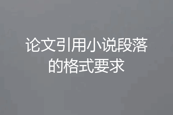 论文引用小说段落的格式要求