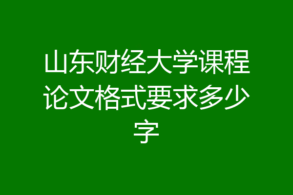 山东财经大学课程论文格式要求多少字